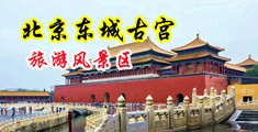 少妇蜜汁中国北京-东城古宫旅游风景区